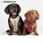 BuddyArmor - All-weather Harness
