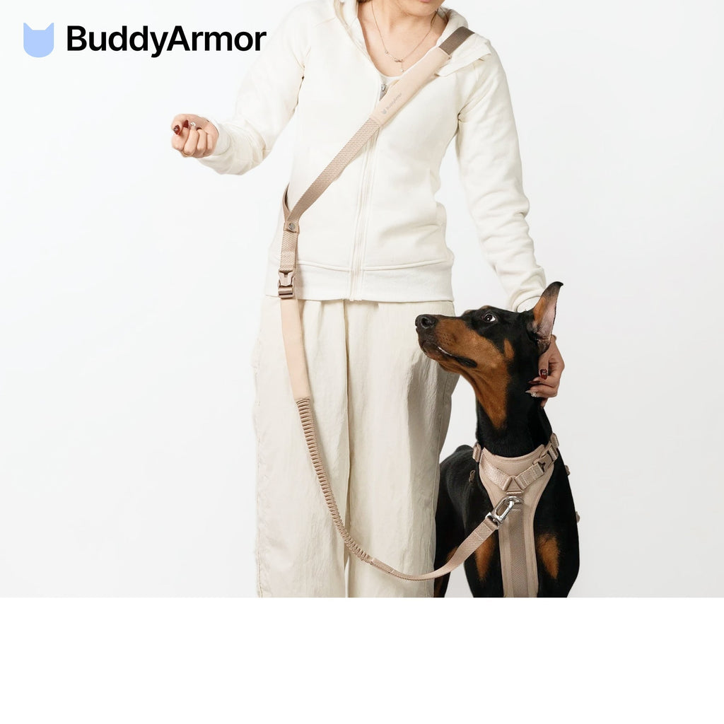 BuddyArmor  - Hands Free Leash