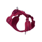 BuddyArmor - All-weather Harness