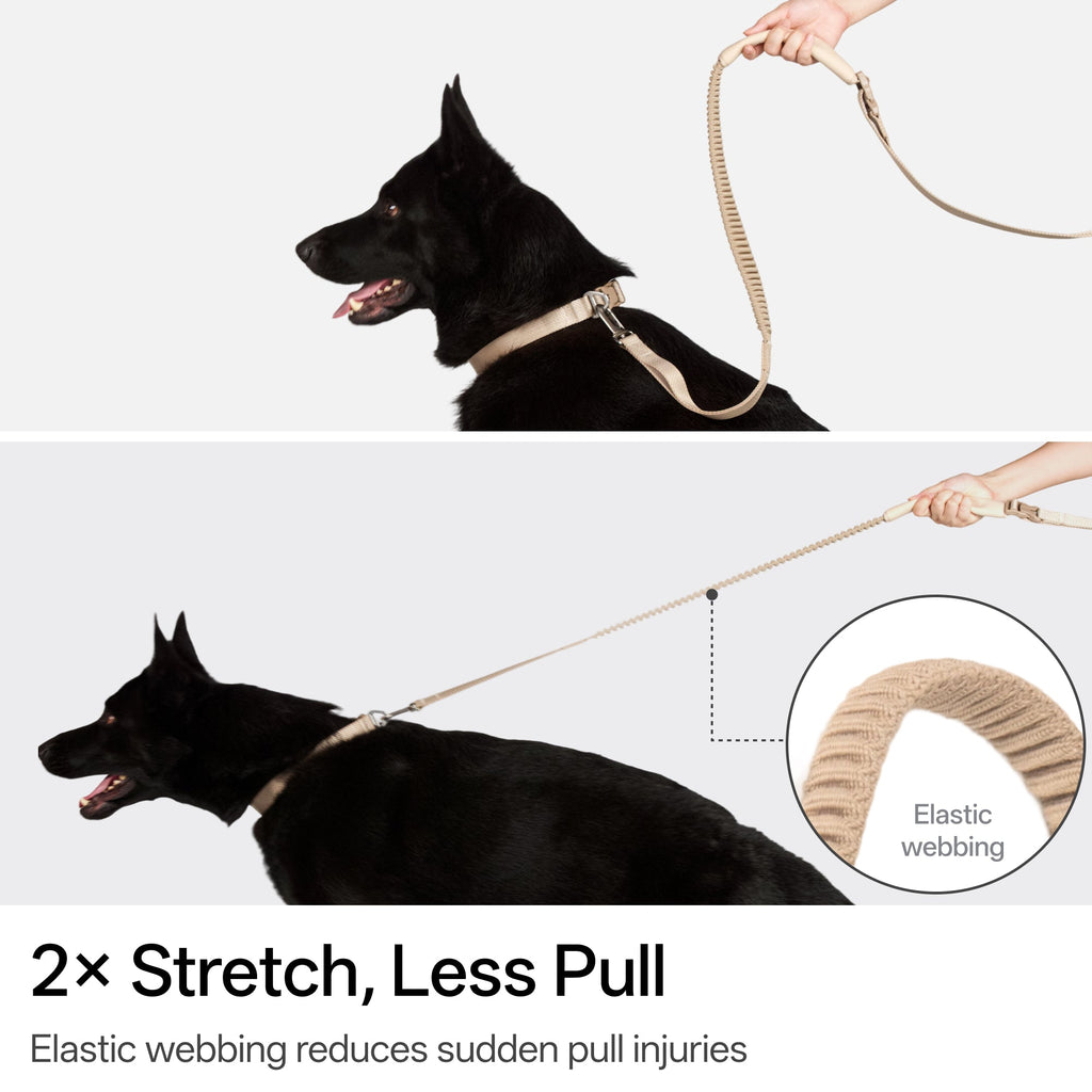 BuddyArmor  - Hands Free Leash