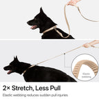 BuddyArmor  - Hands Free Leash