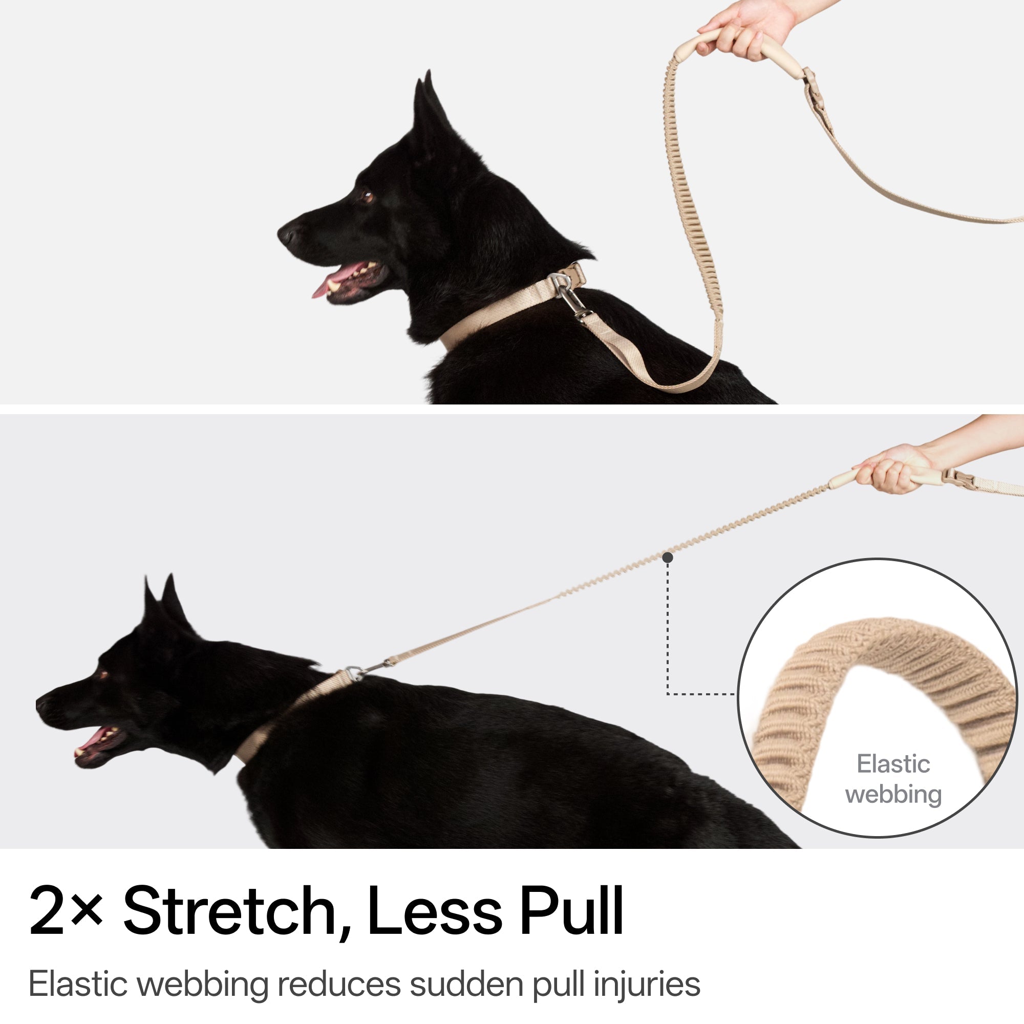 BuddyArmor  - Hands Free Leash