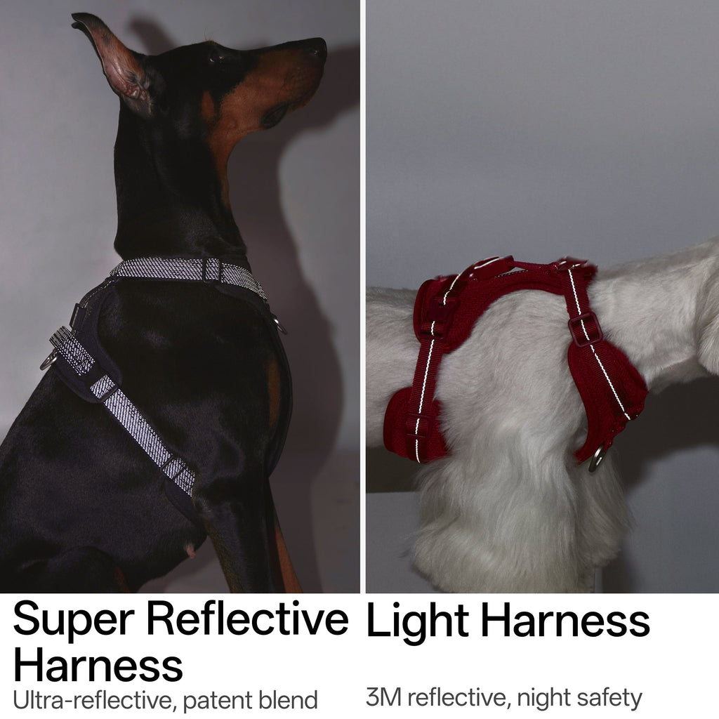 BuddyArmor - All-weather Harness