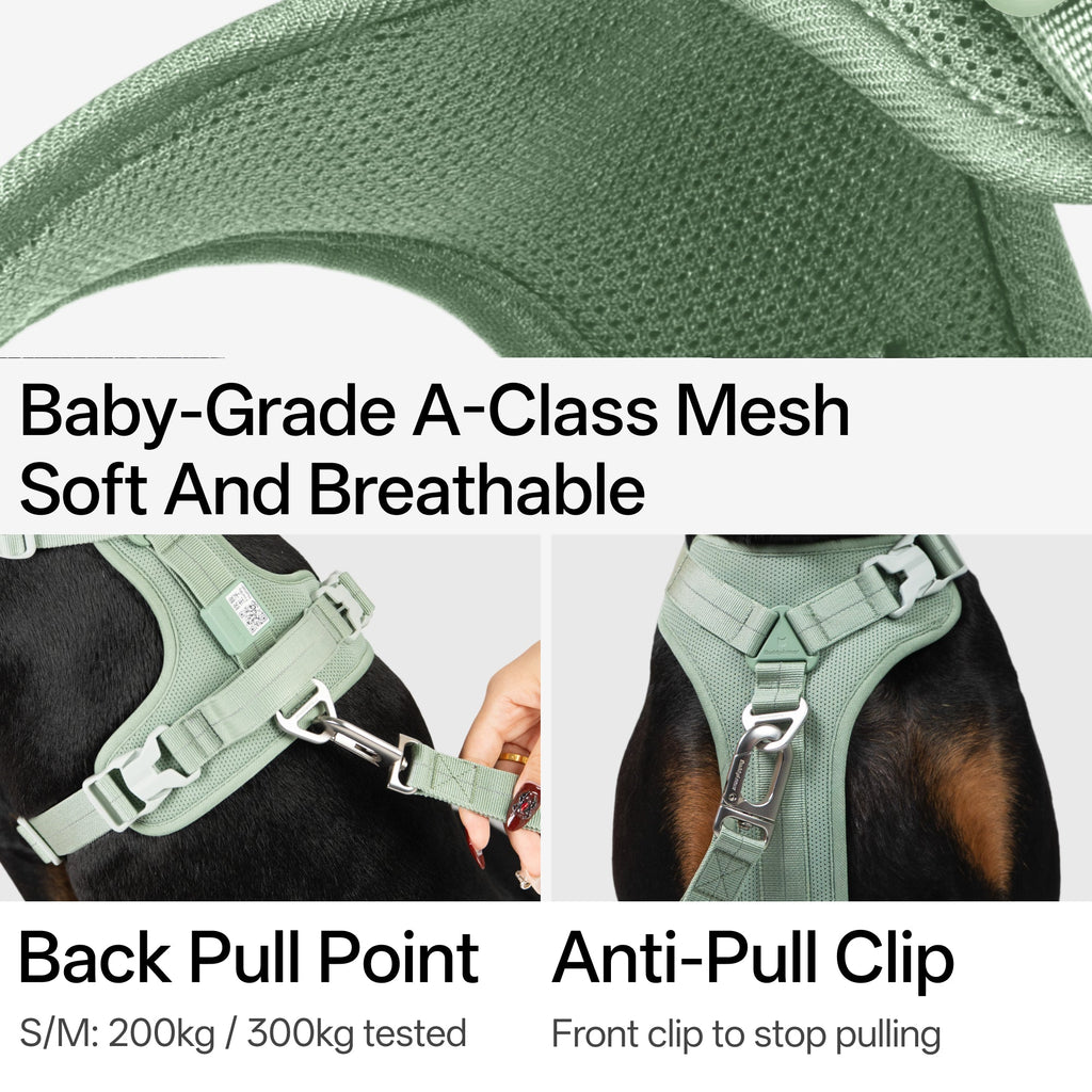 BuddyArmor - All-weather Harness