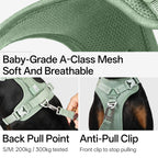 BuddyArmor - All-weather Harness