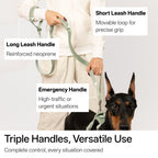 BuddyArmor  - Hands Free Leash