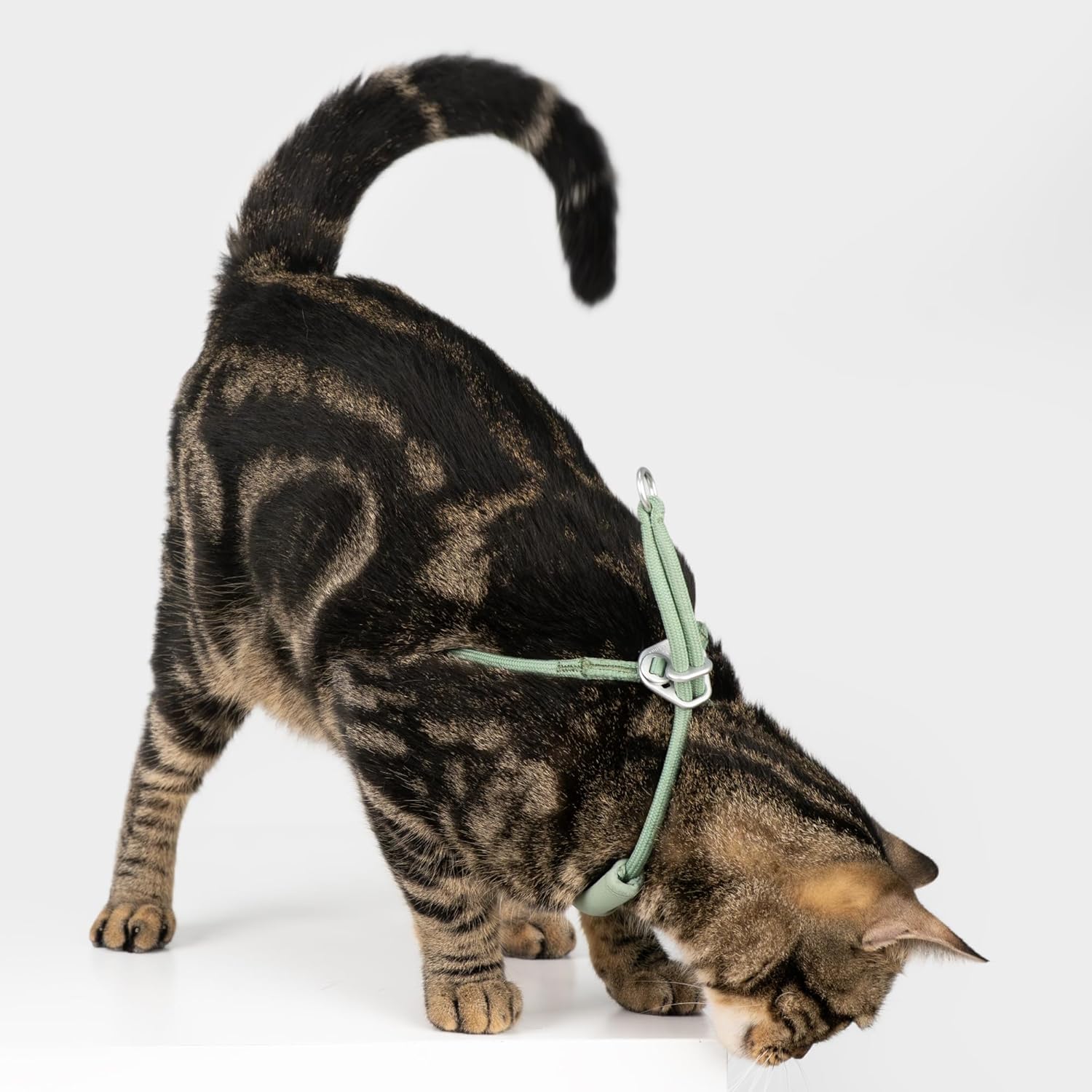 BuddyArmor - Escape-Proof Y-Shape Harness