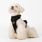 BuddyArmor - All-weather Harness
