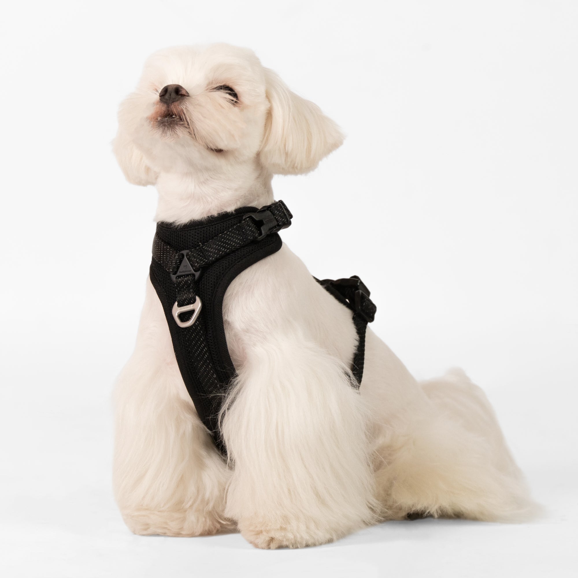 BuddyArmor - All-weather Harness