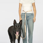 BuddyArmor  - Hands Free Leash
