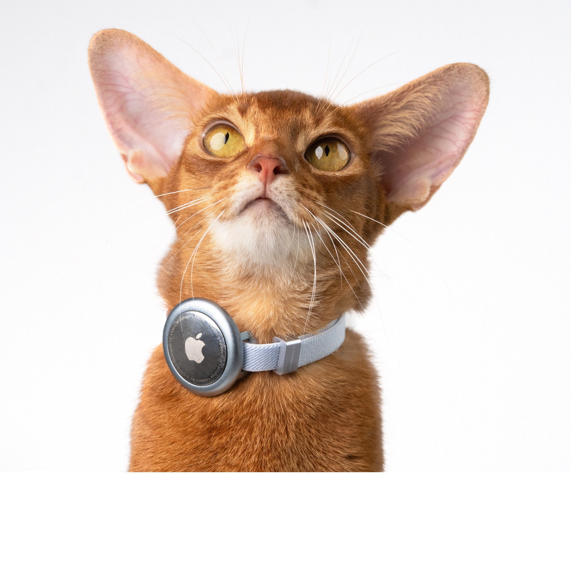 BuddyArmor - Minimal AirTag Holder