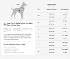 BuddyArmor  - Hands Free Leash