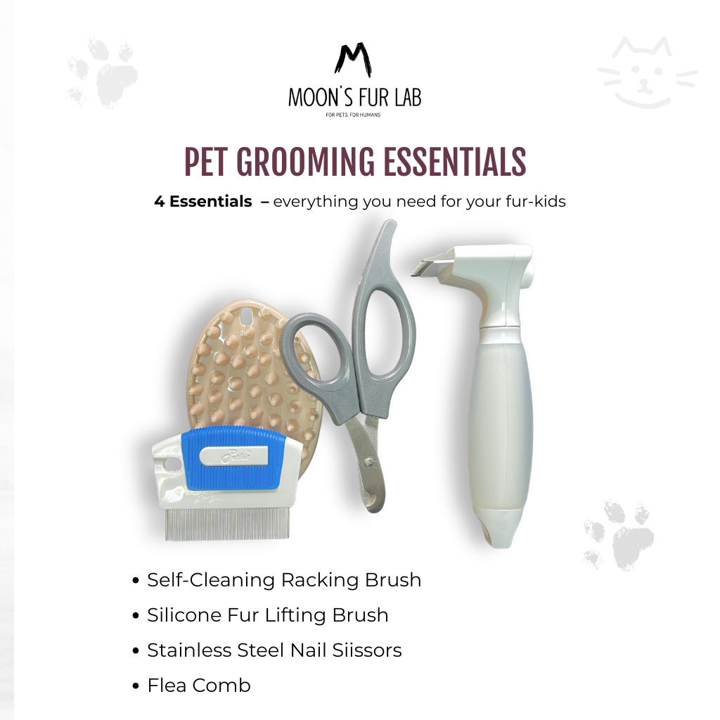 Moon's Choice Starter Kit