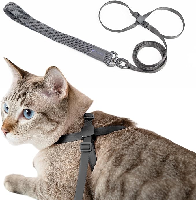 BuddyArmor - Escape-Proof All-in-one Cat Harness & Leash