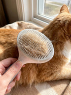 Self Cleaning Slicker Brush, product photo